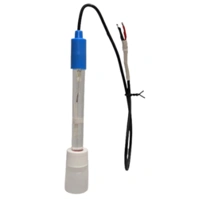 Sonde pH pour INTELLIPOOL Pentair